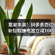 寒潮来袭!拼多多百亿补贴取暖电器立减1000元,如何买到超值好货?(图4) 寒潮来袭!拼多多百亿补贴取暖电器立减1000元,如何买到超值好货?(图4)