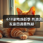618家电焕新季 热浪激发夏日消费热潮（图3）