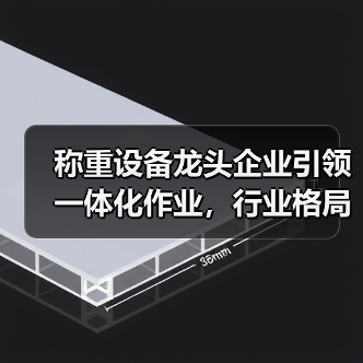 称重设备龙头企业引领一体化作业,行业格局正经历3大巨变(图3) 称重设备龙头企业引领一体化作业,行业格局正经历3大巨变(图3)