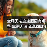 空调无法启动原因有哪些 空调无法启动原因介绍【详解】(图4) 空调无法启动原因有哪些 空调无法启动原因介绍【详解】(图4)