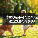 博世冰箱不制冷怎么办？这些方法帮你解决！（图1）