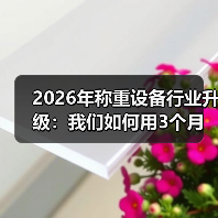2026年称重设备行业升级：我们如何用3个月实现全流程智能化落地一体化作业？（图1）