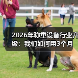 2026年称重设备行业升级：我们如何用3个月实现全流程智能化落地一体化作业？（图4）