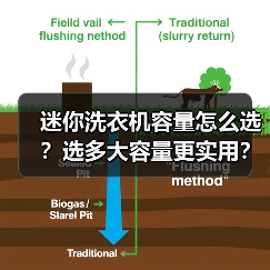 迷你洗衣机容量怎么选？选多大容量更实用？（图2）
