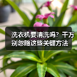洗衣机要清洗吗?千万别忽略这些关键方法(图3) 洗衣机要清洗吗?千万别忽略这些关键方法(图3)