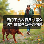西门子洗衣机尺寸怎么选?详解各型号几何尺寸及选购指南(图3) 西门子洗衣机尺寸怎么选?详解各型号几何尺寸及选购指南(图3)