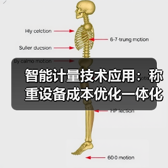 智能计量技术应用：称重设备成本优化一体化作业，稳步推进的3个关键（图1）