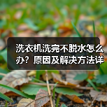 洗衣机洗完不脱水怎么办?原因及解决方法详解(图4) 洗衣机洗完不脱水怎么办?原因及解决方法详解(图4)
