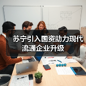 苏宁引入国资助力现代流通企业升级(图4) 苏宁引入国资助力现代流通企业升级(图4)