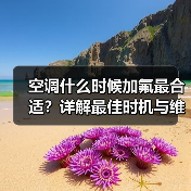 空调什么时候加氟最合适？详解最佳时机与维护要点（图1）