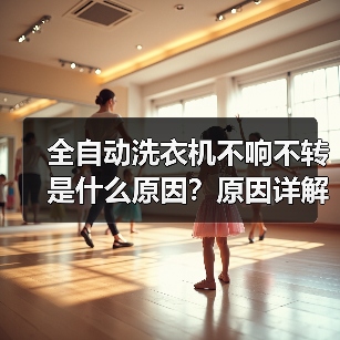 全自动洗衣机不响不转是什么原因?原因详解与解决方法(图1) 全自动洗衣机不响不转是什么原因?原因详解与解决方法(图1)