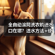 全自动滚筒洗衣机进水口在哪？进水方法+使用技巧全解析（图4）