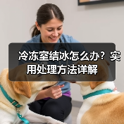 冷冻室结冰怎么办?实用处理方法详解(图4) 冷冻室结冰怎么办?实用处理方法详解(图4)