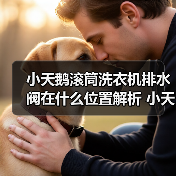 小天鹅滚筒洗衣机排水阀在什么位置解析 小天鹅滚筒洗衣机排水阀位置解析【详解】（图2）