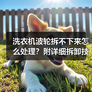 洗衣机波轮拆不下来怎么处理？附详细拆卸技巧（图1）