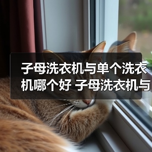 子母洗衣机与单个洗衣机哪个好 子母洗衣机与单个洗衣机的区别【详解】（图2）