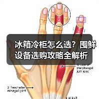 冰箱冷柜怎么选?囤鲜设备选购攻略全解析(图4) 冰箱冷柜怎么选?囤鲜设备选购攻略全解析(图4)