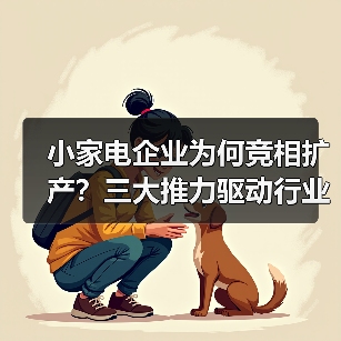 小家电企业为何竞相扩产?三大推力驱动行业升级(图3) 小家电企业为何竞相扩产?三大推力驱动行业升级(图3)