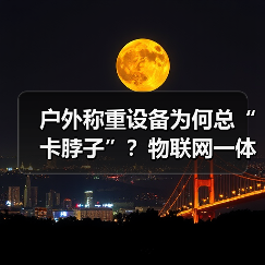 户外称重设备为何总“卡脖子”?物联网一体化作业破局之道(图2) 户外称重设备为何总“卡脖子”?物联网一体化作业破局之道(图2)