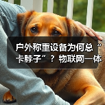 户外称重设备为何总“卡脖子”?物联网一体化作业破局之道(图1) 户外称重设备为何总“卡脖子”?物联网一体化作业破局之道(图1)