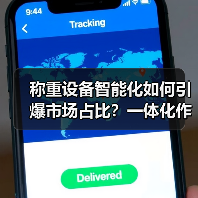 称重设备智能化如何引爆市场占比?一体化作业实战经验揭秘(图4) 称重设备智能化如何引爆市场占比?一体化作业实战经验揭秘(图4)