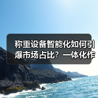称重设备智能化如何引爆市场占比?一体化作业实战经验揭秘(图3) 称重设备智能化如何引爆市场占比?一体化作业实战经验揭秘(图3)