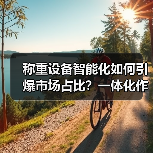 称重设备智能化如何引爆市场占比?一体化作业实战经验揭秘(图2) 称重设备智能化如何引爆市场占比?一体化作业实战经验揭秘(图2)
